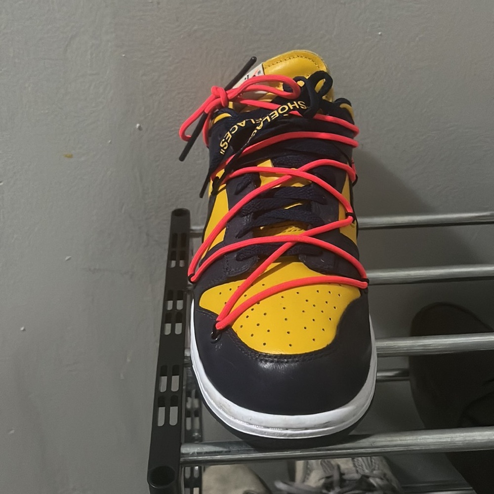 Offwhite Nike Michigan Dunks